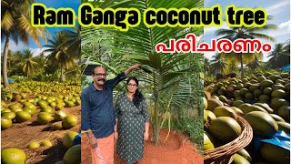 Ram Ganga's Coconut Magic: Growing Success! 🥥🌱റാം ഗംഗ തെങ്ങിന്റെ പരിചരണം💡🌾\