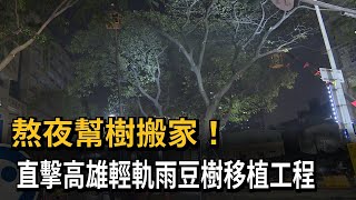 熬夜幫樹搬家！直擊高雄輕軌雨豆樹移植工程－民視新聞