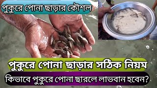 পুকুরে পোনা ছাড়ার সঠিক নিয়ম এবং কিভাবে পুকুরে পোনা ছারলে লাভবান হবেন? | পুকুরে পোনা ছাড়ার কৌশল