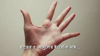 five fingers name | হাতের পাঁচ আঙ্গুলের নাম | abrar