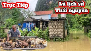 SẠT LỞ NGUY HIỂM NHỮNG NGƯỜI DÂN Ở VÙNG NÚI THÁI NGUYÊN