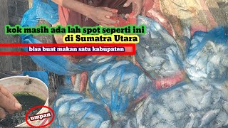 SPOT VIRAL || SEBELUM DI JAMAH PEMANCING LAIN BURUAN FULL STRIKE