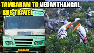 Tambaram to Vedanthangal | Bird sanctuary Bus Route | Bus Travel | Bus Travel