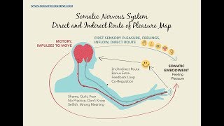 Direct Route of Touch - Direct Pleasure