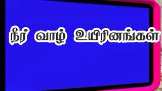 கடல் வாழ் உயிரினங்கள்.. நீர் வாழ் உயிரினங்கள்