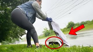 The girl didn't know she was being filmed. What she did to the skunk was shocking!