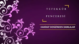 Aklı başında olan insan ne yapmalı?Ahirette seni kurtaracak eser nedir?