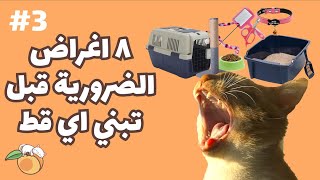 ٨ اغراض ضرورية قبل تبني اي قط