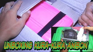 Unboxing kura kura ambon batok