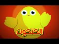 الكتكوت - قناة بلبل BulBul TV
