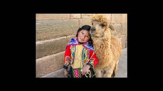 Neil Young & Crazy Horse - Ride My Llama (1975)