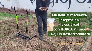 FERTILIZING by INTEGRATION of manure with 7-tine PITCH + Clod-busting grid