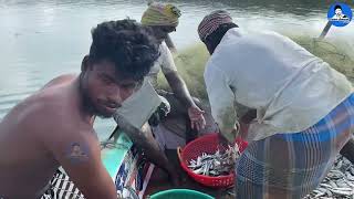 Live Fish Auction - சாலை மீன் பிடிச்சு அத எப்படி ஏலம் விடுறாங்கனு நேரடியா பாருங்க