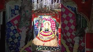 Baba Khatu Shyam Mandir ka darshan live#bhajanmarg#khatushyam#shyam #music