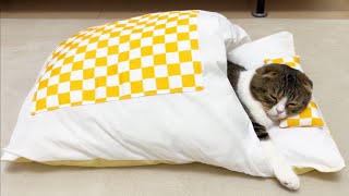 猫用の布団をプレゼントしたら秒でこうなった…w