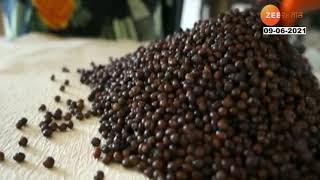 Akola | Agriculture Seed Treatment