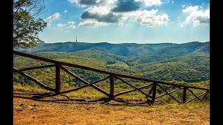 Fruška Gora #serbia #fruskagora #shorts #everythingbelgrade