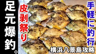 【八景島対岸カワハギ爆釣】簡単に釣れる仕掛け餌最強タックル！潮を見よ！横浜港湾人気釣り場/金沢八景福浦堤防釣り