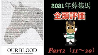 キャロットクラブ 2021年 募集馬評価 Part2（11-20)