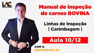 Aula 10: Manual de Inspeção - Linhas de Inspeção | | Carimbagem | Luiz Antônio de Carvalho
