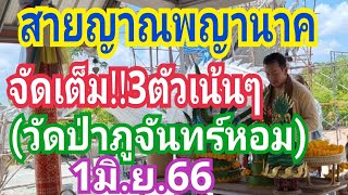 สายญาณพญานาค จัดเต็ม (วัดป่าภูจันทร์หอม) 3ตัวเน้นๆ!!! งวด1มิ.ย.66