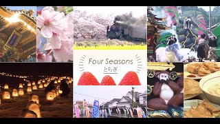 Four Seasons とちぎ