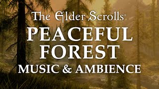 The Elder Scrolls Music & Ambience | Peaceful Forest, 5 Beautiful Scenes with Ca