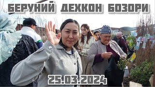 БЕРУНИЙ ДЕХКОН БОЗОРИ 25.03.2024