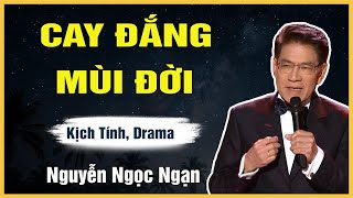 Truyện Hay Nguyễn Ngọc Ngạn - CAY ĐẮNG MÙI ĐỜI - Đọc Truyện Đêm Khuya Êm Dịu Dễ Ngủ Mới Nhất