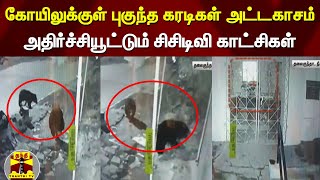 கோயிலுக்குள் புகுந்த கரடிகள் அட்டகாசம்...அதிர்ச்சியூட்டும் சிசிடிவி காட்சிகள் | Bear | Nilgiris