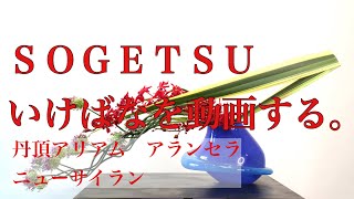 嶋直香生け花を動画するNo.284