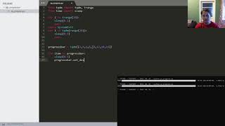Python - Progressbar