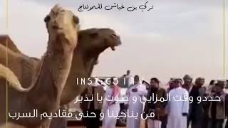 شيلة الغدراء | ماشلعناها ومعها على الاول خشير 👏🏻 | كلمات الشاعر : احمد بن غازي | ادا : جفران هضبان