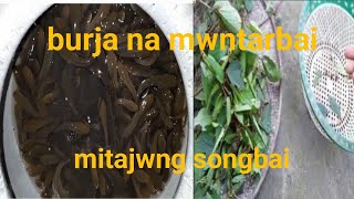 Najwng na burja mwntarbai/ mwitajwng najwng songbai..