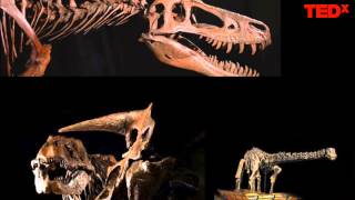 A world without music -- rethinking science education | Evalyn Gates | TEDxUrsulineCollege