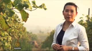 Myanmar's wine industry is thriving