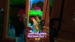 💖মোরগ যখন নায়িকা নিয়ে আয়না দেখে 🐓😹#viralvideo #comedy #highlights #funnyvideo #foryou subscribe plz💖