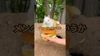 【2ch面白いスレ】彼女「牛丼がいい」ワイ「買ってきたよ」←何故か彼女ブチギレｗｗｗｗ