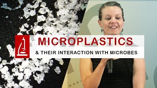 Microplastics in the Water and their Interaction with Microbes