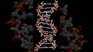 Biological evolution | Wikipedia audio article