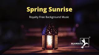 🔴[No Copyrights] Meditation Music, Sleeping,Relaxing,Study, Deep Sleep by Silkroute Background Music