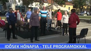 Idősek hónapja - tele programokkal