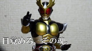 【まったりレビュー】S.H.Figuarts「仮面ライダーアギト」（真骨彫）レビュー！顔がほぼ劇中