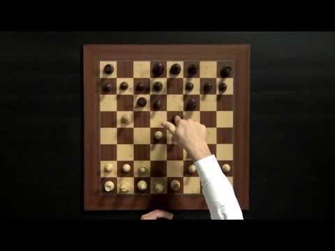 Magnus Carlsen Chess Training on Play Magnus App: How to Play the Opening Magnus Carlsen Chess Training on Play Magnus App: How to Play the Opening