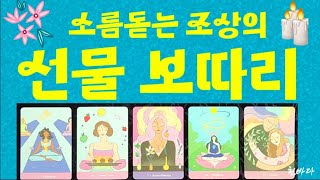 [타로운세] 조상이 전달해주는 선물보따리(주역64괘카드)