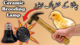 Ceramic Heating and Brooding Lamp | Lamp Heater Brooder for chicks | Infrared Lamp Chicks care