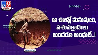 Mystery Village | ఆ ఊళ్లో మనుషులు, పశుపక్షాదులు అందరూ అంధులే..! - TV9 Digital