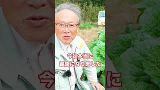 お腹の中を菌だらけにすると健康になる！？【おうちで元気な無農薬野菜を育てよう】 #shorts