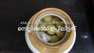 നെല്ലിക്ക ഉപ്പിലിട്ടത് । Nellikka uppilittathu | simple Amla pickle without spices(Recipe 20)