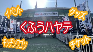 【新規参入】くふうハヤテベンチャーズ静岡の試合に行ってみた（ちゅ〜るスタジアム清水）